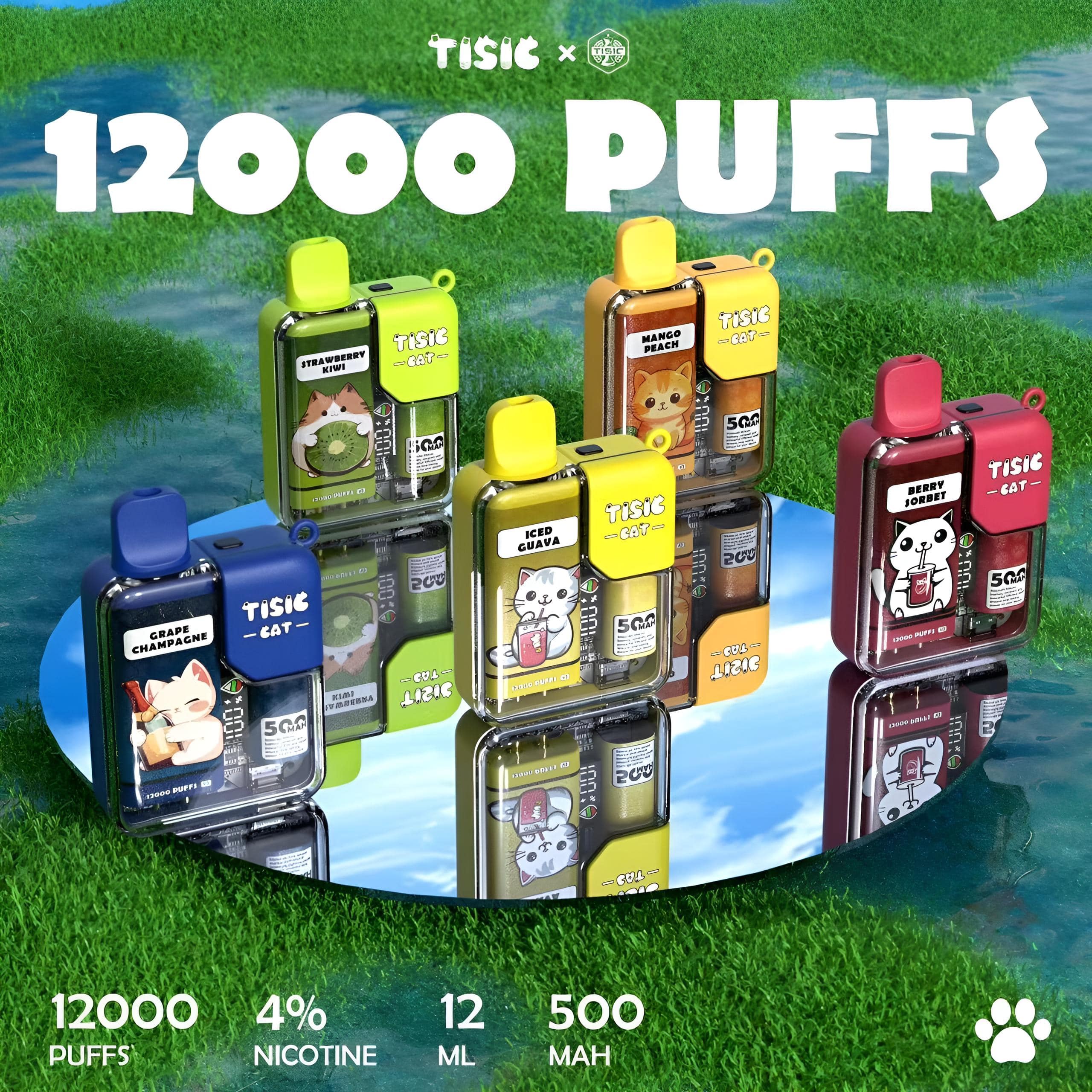 TISIC貓12000Puffs一次性電子煙|萌系大容量拋棄式主機